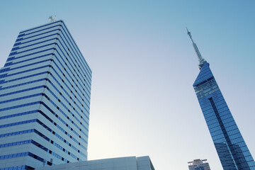 高層ビルのフォルムと光りと影