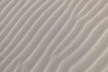 Ripples in the sand formed by wind in a dune area