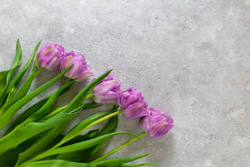 Bouquet of purple tulips on gray textured background. Mothers day, Valentines Day, Birthday celebration concept. Greeting card. Copy space for text, top view
