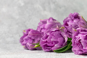 Bouquet of purple tulips on gray textured background. Mothers day, Valentines Day, Birthday celebration concept. Greeting card. Copy space for text