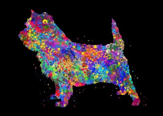 Cairn Terrier Dog watercolor, black background, abstract painting. Watercolor illustration rainbow, colorful, decoration wall art.
