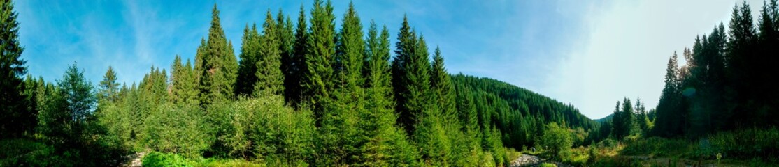 panorama with the river in the mountains on an autumn day