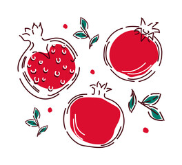 Pomegranate fruit on a white background with leaves. Hand-drawn abstract illustration. Vector.