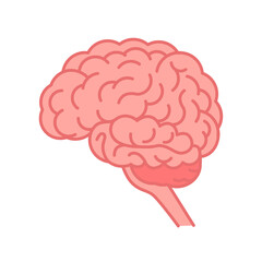 Human brain graphic illustration. Flat vector isolated.