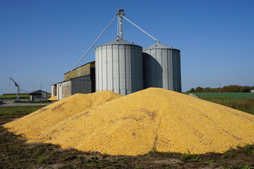 grain silos in the countryside with mounts of yellow corn on the side © poupine