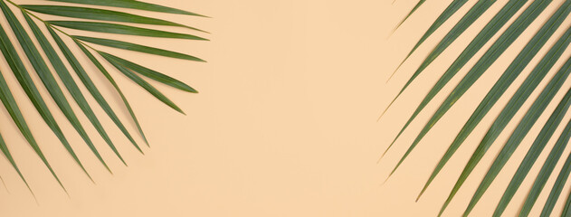 Tropical palm leaves isolated on bright orange background.