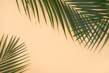 Tropical palm leaves isolated on bright orange background.