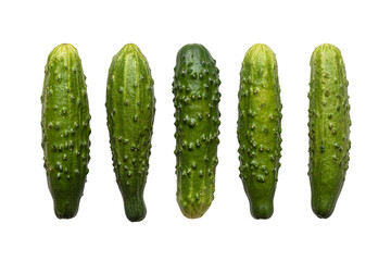 Five fresh green cucumbers with pimples for a salad