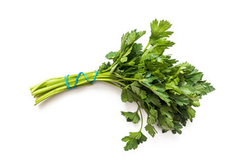 Green bunch of parsley with a blue elastic band, on a white background