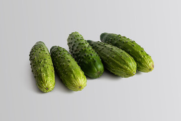 Green cucumbers with pimples on a light background