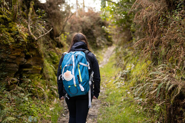 Pilgrim brunette woman, doing the Camino de Santiago, in a forest, with a blue backpack and a shell, with a black jacket. Lifestyle concept. Hike, way of st james - obrazy, fototapety, plakaty