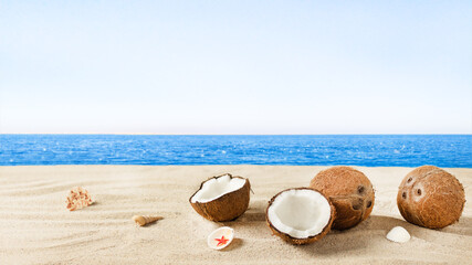 Fototapeta na wymiar Many coconuts and seashells on sandy beach over blue sea.