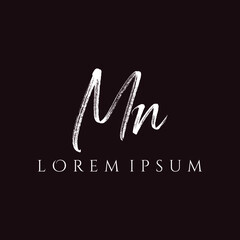 Letter MN luxury logo design vector