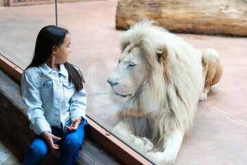 Little Girl Watching Through the Glass at White Lion in Zoo. Activity Learning for Kid. - obrazy, fototapety, plakaty