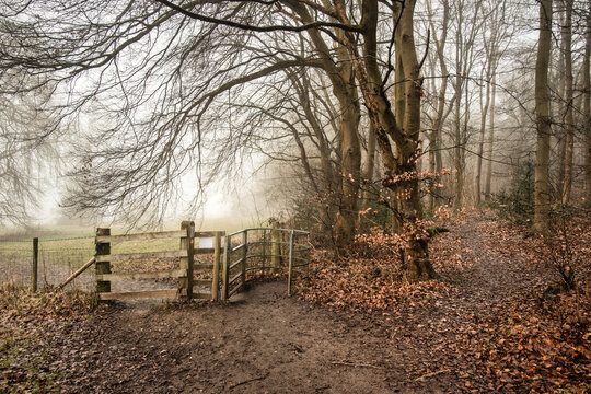 Foggy Chiltern Hills pathways with path signs between Little Chalfont and Latimer, England 