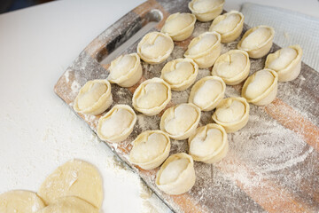 homemade dumplings in the kitchen without decorations. making dumplings with minced pork, beef and chicken