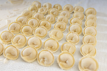 homemade dumplings in the kitchen without decorations. making dumplings with minced pork, beef and chicken