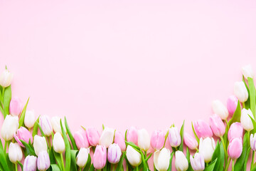 Border of pink and white tulips on a light pink background. Mothers Day, Valentines Day, Birthday celebration concept.