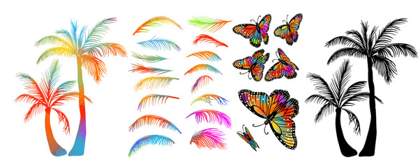 multicolored Palm trees. Set of palm leaves and butterflies. Vector illustration