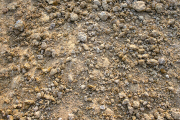 Soil texture background under sunlight.