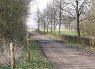 Fototapeta na wymiar View of a tree-lined country lane in South Limburg in early spring