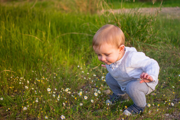 Baby  Playing In A Field Of Spring Flowers. Spring Concept