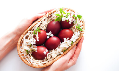 Female hands holding red Easter eggs in basket on white background. Close-up. Copy space.