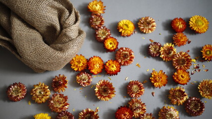 Kwiaty i trawy suche  z tkaniną jutową na szarym tle © Seance_Photo_Sylwia