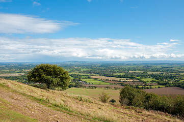 Autumn leaves and trees on the Malvern hills of England.