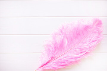 Multicolored bright colorful feathers of exotic birds on a white wooden background. Empty space for design, copy and text. Delicate background texture. Ostrich feathers.