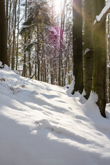 Góry w Polsce, zbocze w śniegu w lesie z promieniami słonecznymi, góry zimą, sceneria zimowa © Magdalena