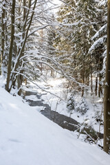 Brenna, rzeka Brennica w zimowej scenerii, las w śniegu, pejzaż zimowy © Magdalena
