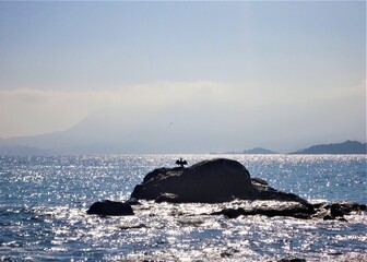Fototapeta premium Bird on a large rock in the ocean drying up its wings with the sunshine, blue sky and the sunlight reflected on the ocean, deep depth of field and mountains in the background. 