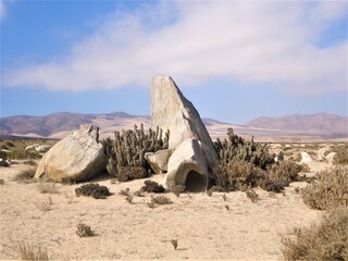 Large rocks with vegetation next to them in the desert with mountains in the background with a blue sky and clouds 