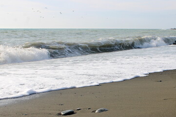Sea surf on the Black Sea coast of the Caucasus in December.