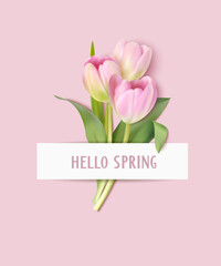 Spring design template. Hello spring text with white label and pink tulip flowers. Vector stock illustration 