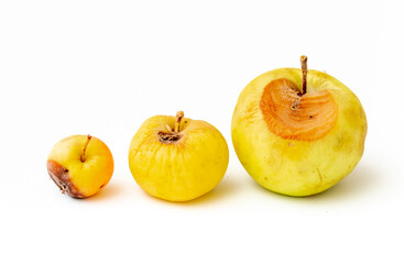 Set of rotten spoiled apples on a white background. A worm is crawling over the apple.