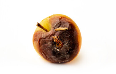 Rotten spoiled apple on a white background. A worm is crawling over the apple.