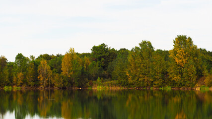 Rive opposée d'un étang, arborant les couleurs de l'automne