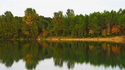 Rive opposée d'un étang, arborant les couleurs de l'automne