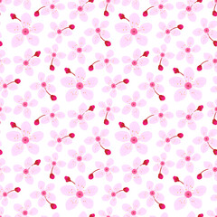 Cherry blossom spring seamless pattern, cute pink flower print background