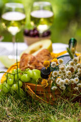 Picnic basket with bottle of wine bread. grape. Two glasses of white wine on a vineyard.