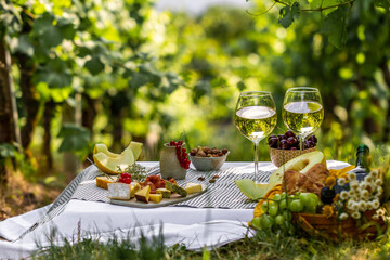 Fototapeta premium Picnic with glasses of white wine on a vineyard. Two glasses of white wine, cheese, bread, grape, berries, melon.