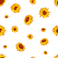 Sunflower vector pattern. Botanical floral background. Sunflower illustration