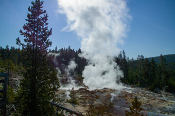 Fototapeta na wymiar The geothermal areas of Yellowstone include several geyser basins. West thumb is on the shores of Yellowstone Lake 