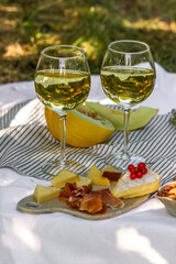 Picnic with glasses of white wine on a vineyard. Two glasses of white wine, cheese, bread, grape,...