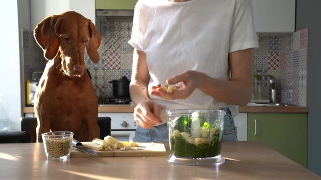 Woman cuts parmesan cheese with knife on board to make pesto sauce, cook in kitchen at home, lovely Vizsla dog watching and begging food. Love pets concept. 