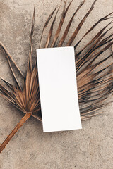 Summer wedding stationery, birthday mock-up. Empty menu card. Dry palm tree leaf. Grunge concrete background in sunlight, long shadows. Flat lay, top view. Restaurant concept.