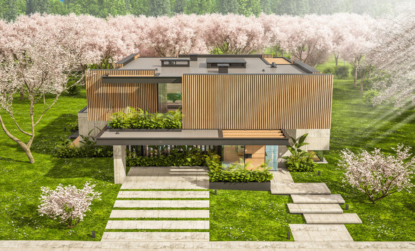 3d rendering of modern cozy house with parking and pool for sale or rent with wood plank facade and beautiful landscaping. Fresh spring day with a blooming trees with flowers of sakura on background