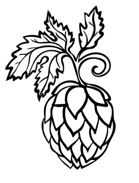 Hand drawn Beer Hop Cone minimalistic stylized line art. Common hop or Humulus lupulus with leaves.
